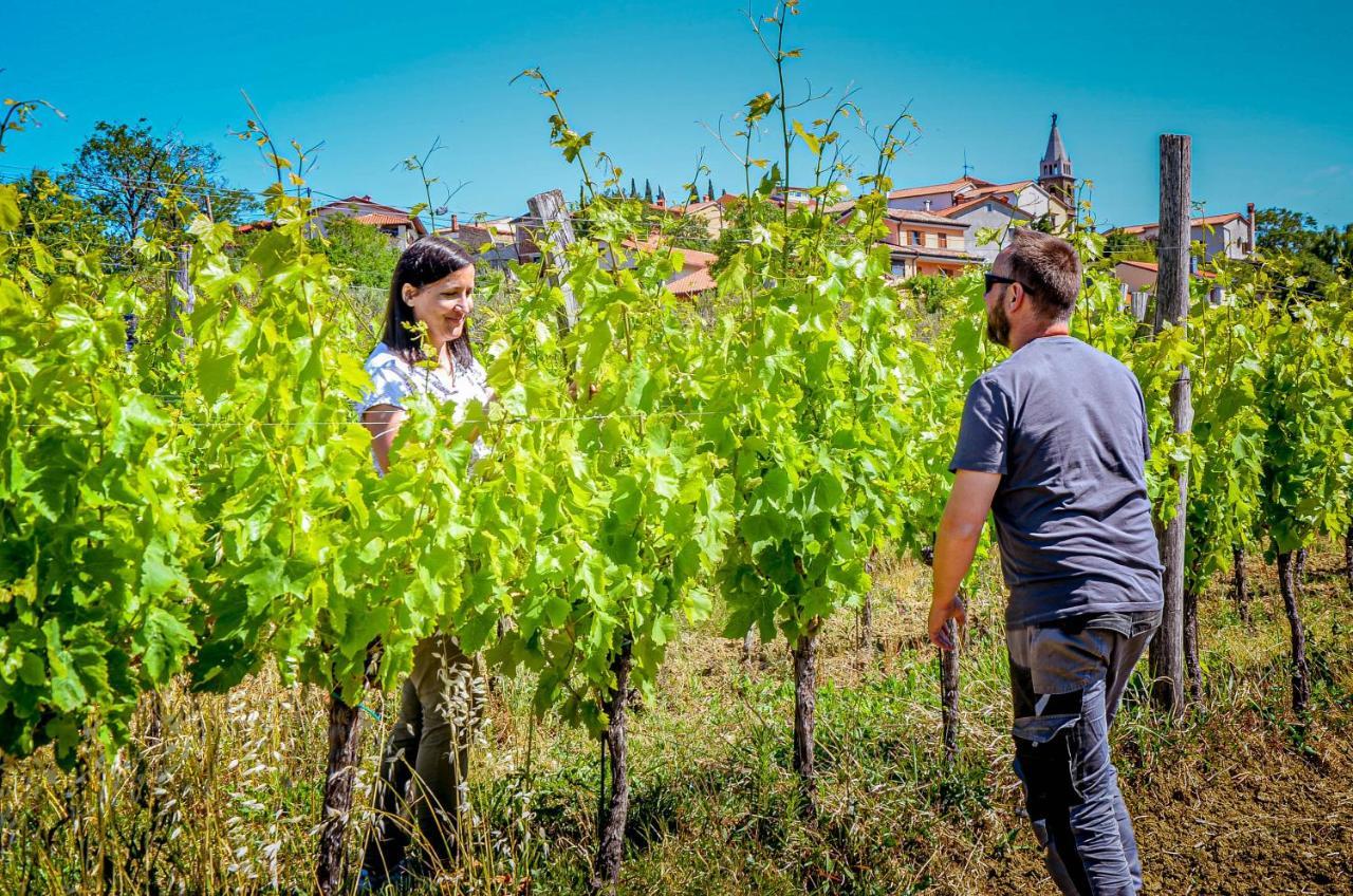 Wine & Apartment Vinales Koper Bagian luar foto